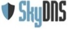 Skydns