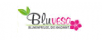 Cashback bei Bluvesa DE