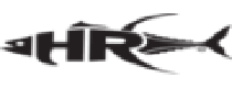 Cashback at Apparel By Home Run US
