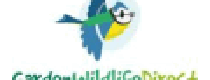Cashback in Garden Wildlife Direct UK 2
