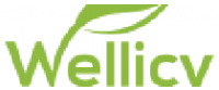 Cashback in Wellicy US