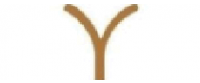 Cashback in Y-Hostel