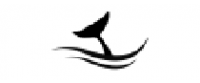 Cashback in gymdolphin US