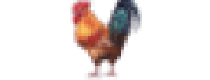 Cashback at Chicken Coop Company US