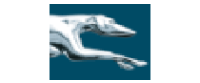 Cashback in Greyhound Lines - US