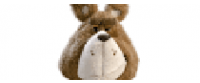 Cashback in PLUSH PL 2