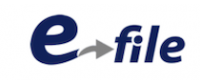 Cashback at E-File US