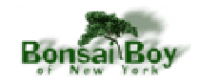 Reembolso en Bonsai Boy of New York US