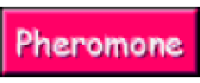 Cashback bei eroscape DE