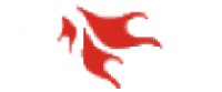 Cashback at AnyMp4 Studio - anymp4.com US