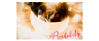 Reembolso en Bridelily US