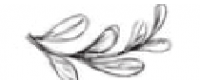 Cashback at J&L Naturals US