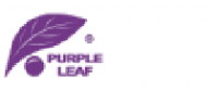 Cashback at PURPLE LEAF US