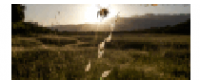 Reembolso en HoneyColony US