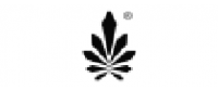 Cashback at ninerealms DE