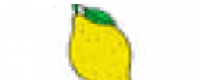 Reembolso en Jenny Lemons US