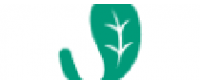 Cashback at Jade Leaf Matcha US