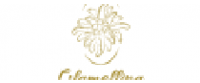 Cashback at Glamellina - CPA FR