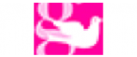 Reembolso en Girl Nation US