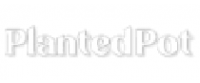 Cashback at Holista LLC US